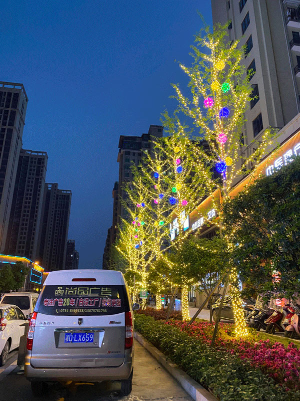 �����_(t��i)������(sh��)